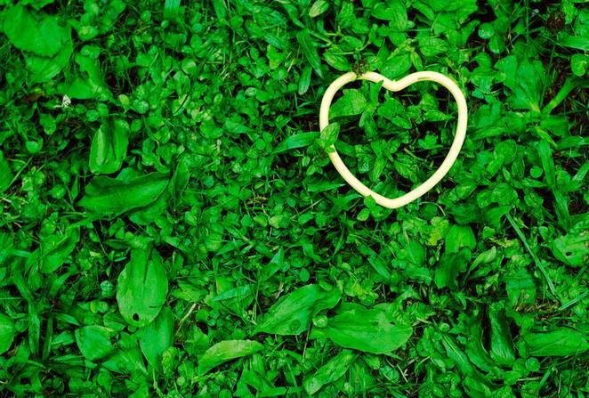 green_valentine.jpg.662x0_q70_crop-scale